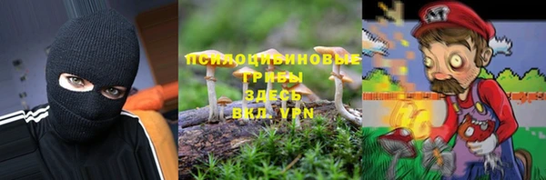 тгк Новокубанск