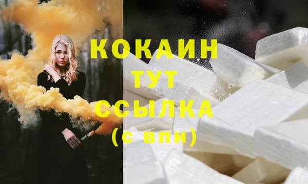 крисы Новодвинск