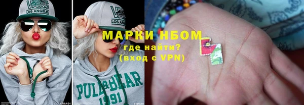 крисы Новодвинск