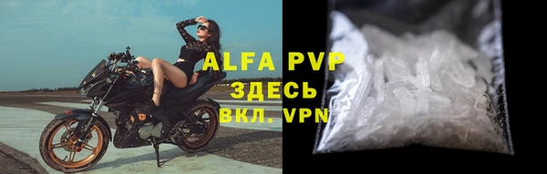 не бодяженный Новозыбков