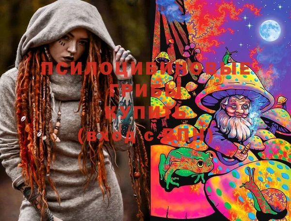 не бодяженный Новозыбков
