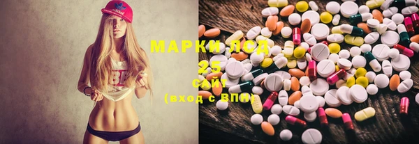 крисы Новодвинск