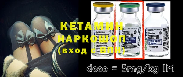 крисы Новодвинск