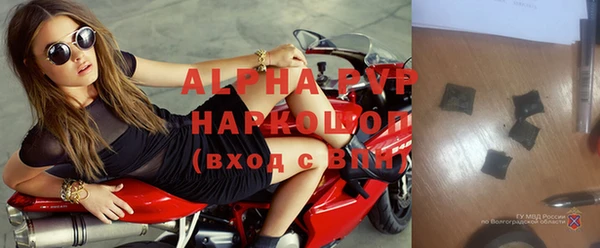 крисы Новодвинск