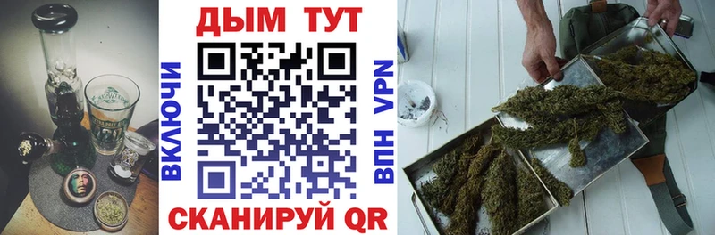 Марихуана план  закладки  Рудня 